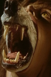 Company of Wolves, The